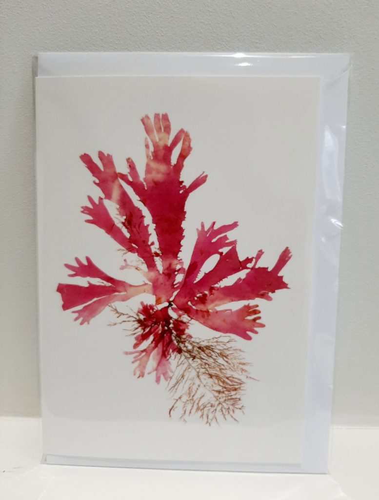Printed Greeting Card 002