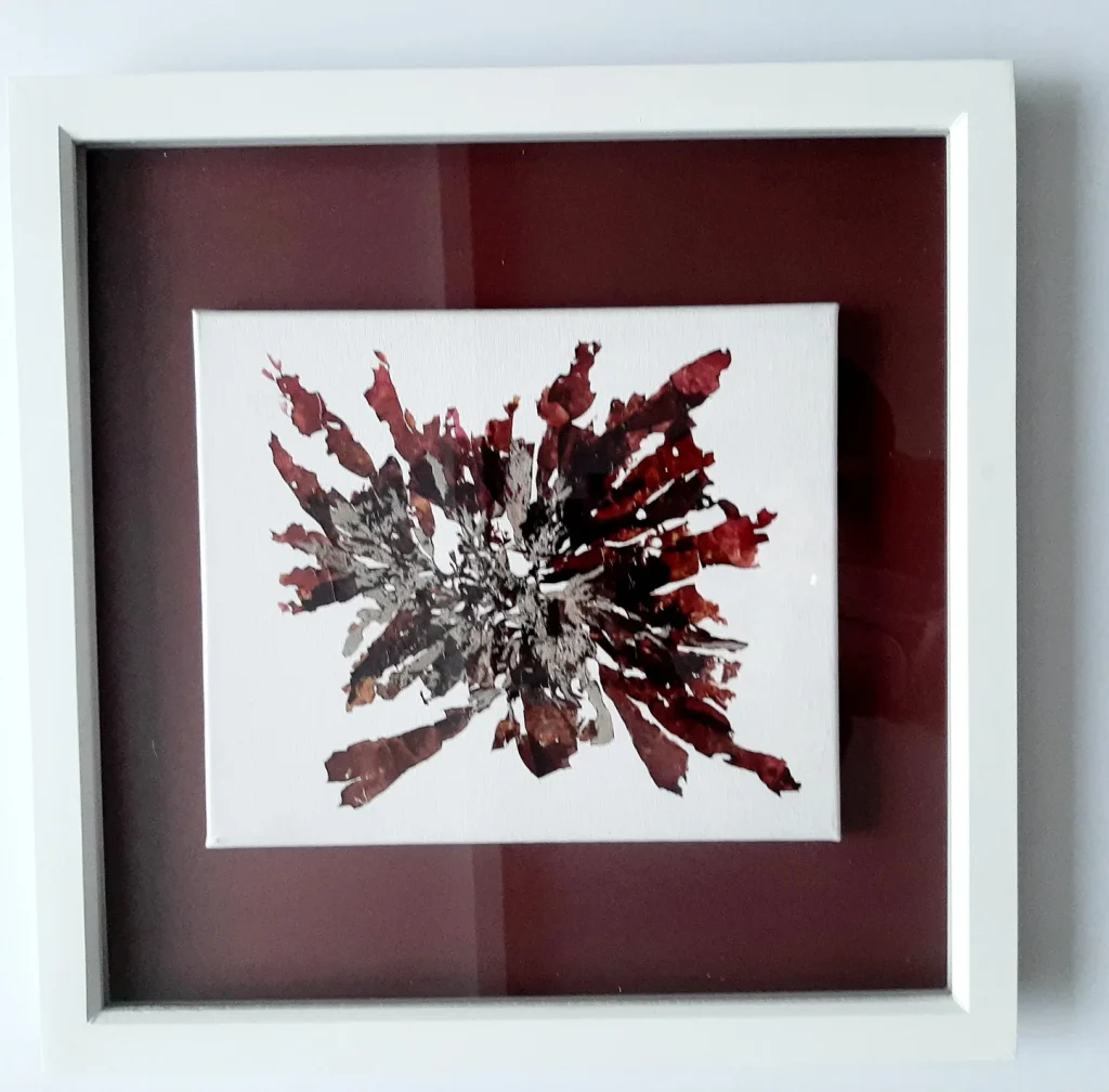 Seaweed Art on Canvas SOLD 006