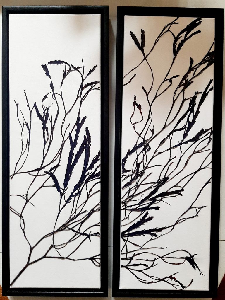 Seaweed Art on Canvas 001