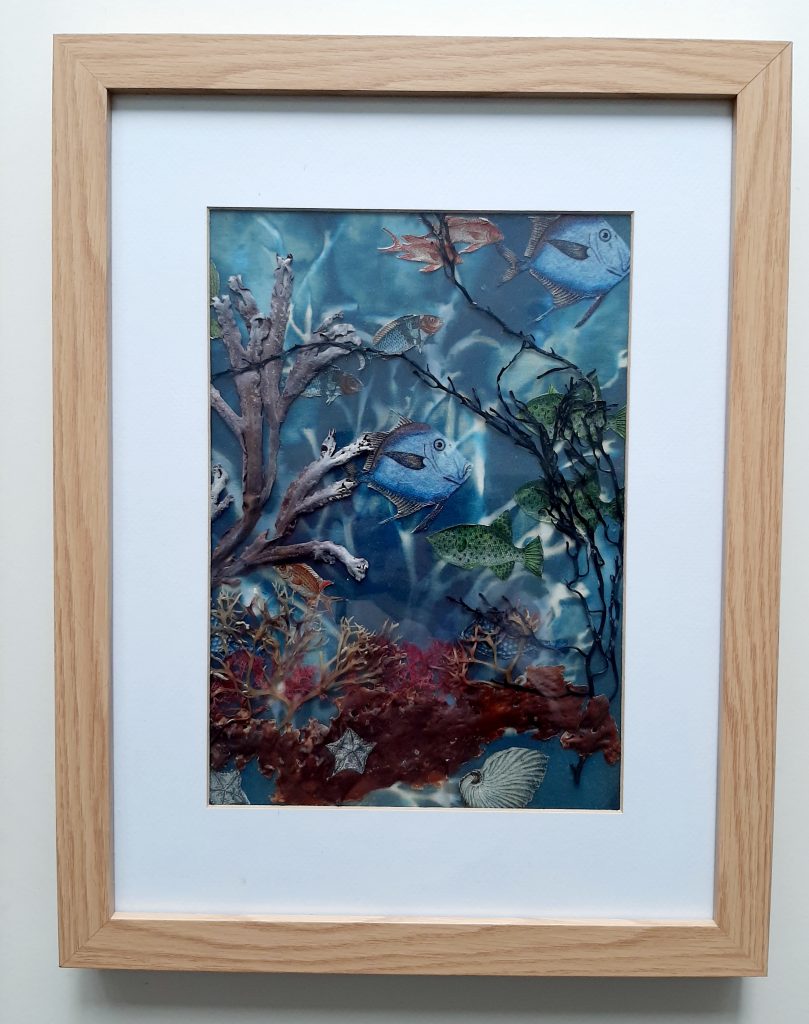 Seaweed and Fishes SWF 001
