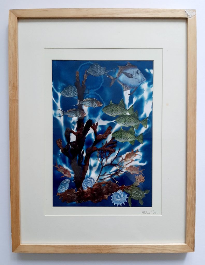 Seaweed and Fishes Art SWF 005