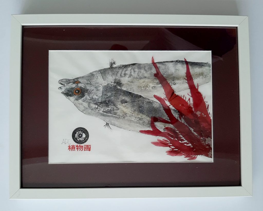 Original Gyotaku OGY004