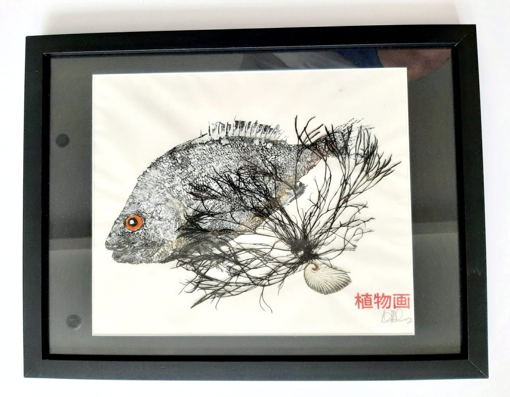 Original Gyotaku OGY003