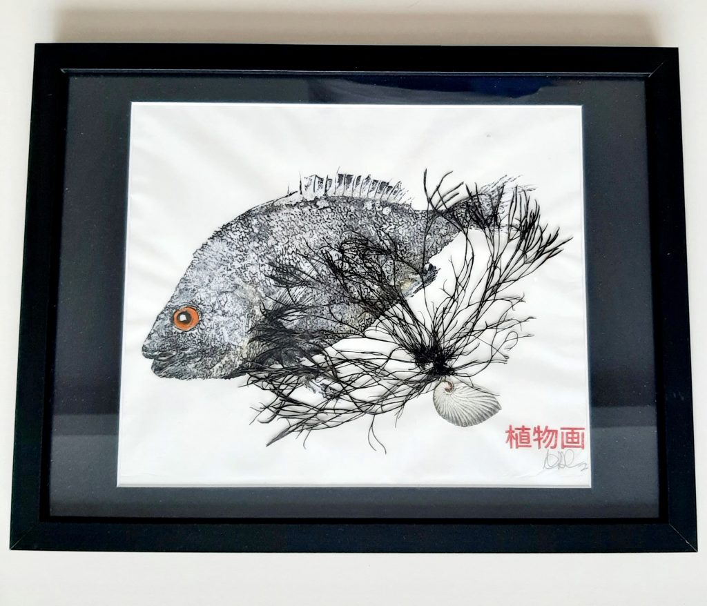 Gyotaku Sea Bream Framed Fine Art Print - Sold