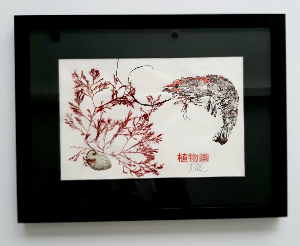Original Gyotaku OGY007