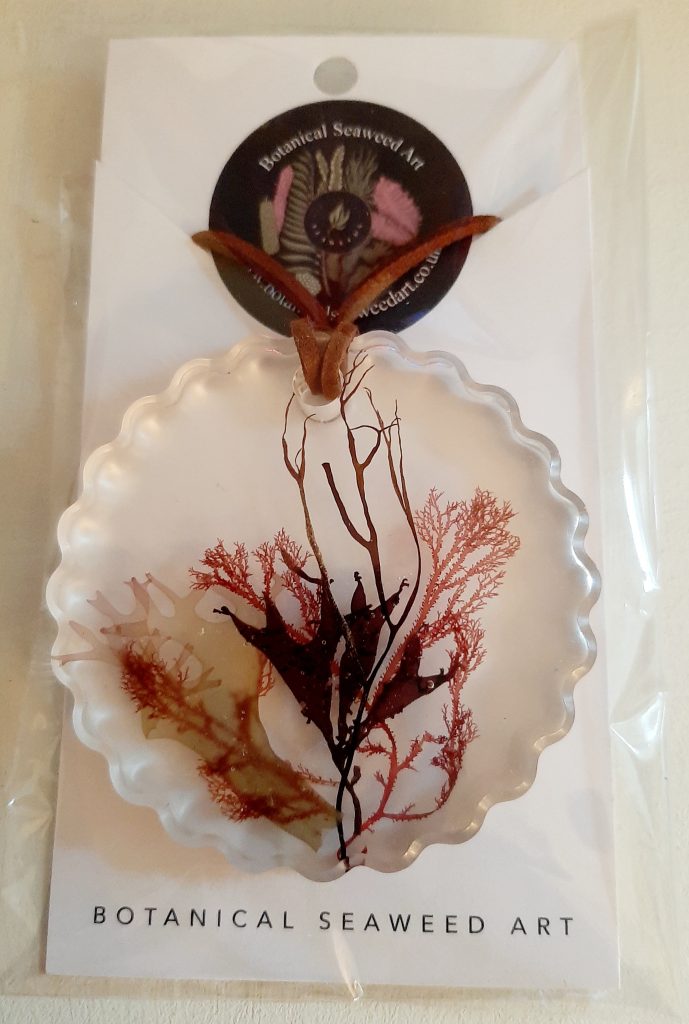 Seaweed Gifts SWDNG 003