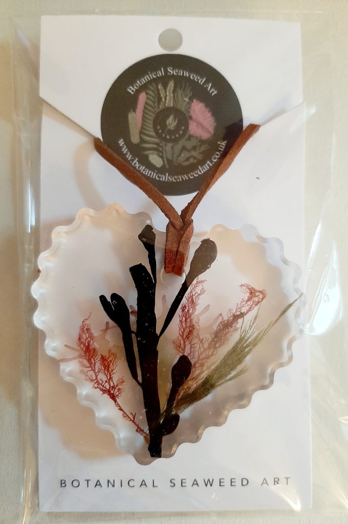 Seaweed Gifts SWDNG 002