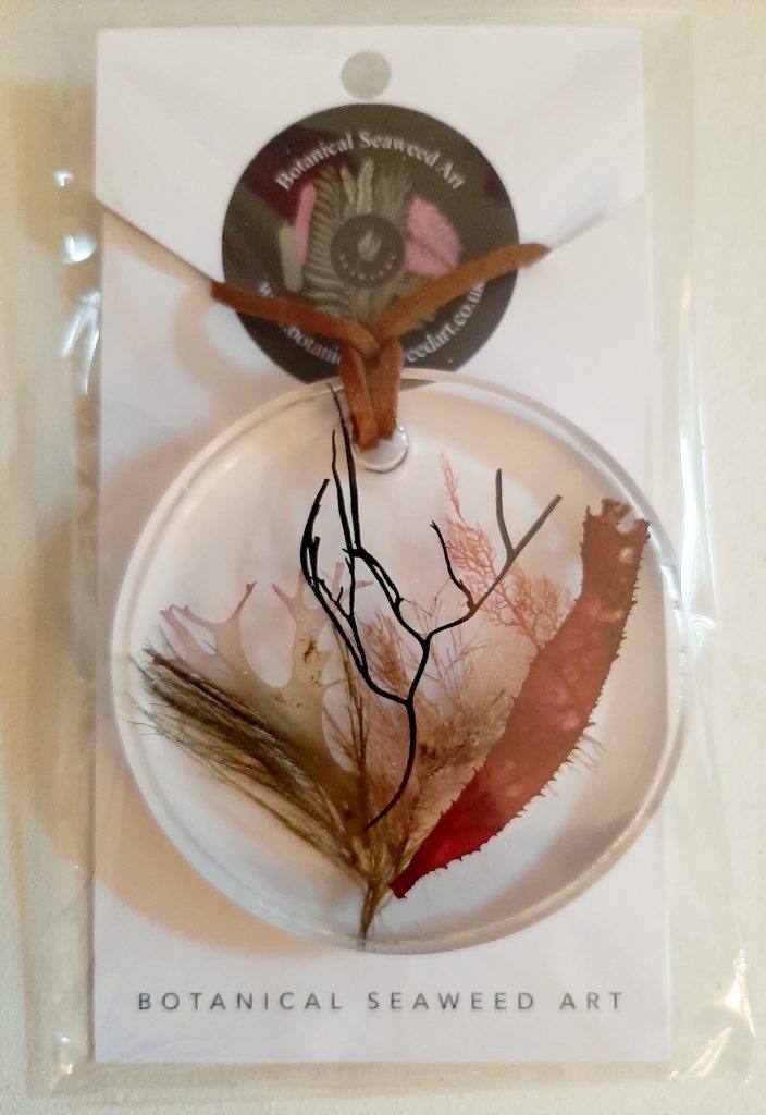 Seaweed Gifts SWDNG 001