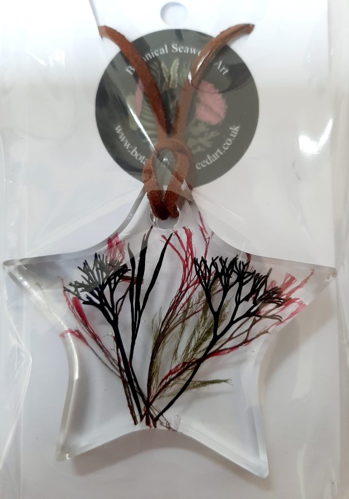 Seaweed Gifts SWDNG 004