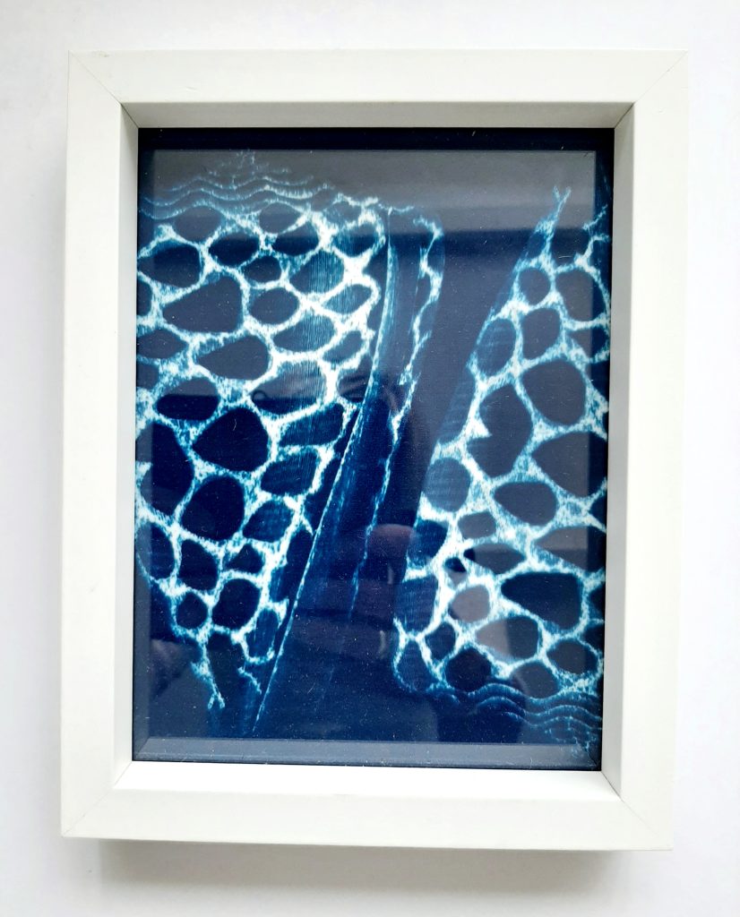 Blue Botanical Art  012