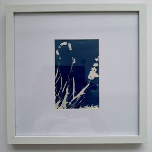 Blue Botanical Art BBA 0029