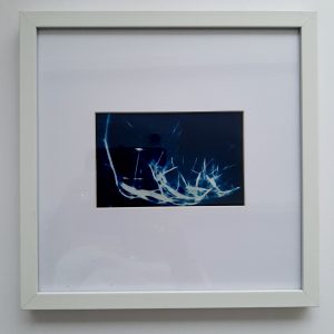 Blue Botanical Art BBA 0030