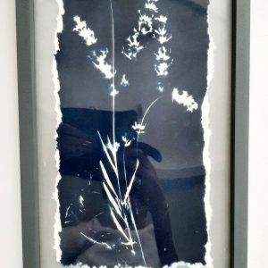 Blue Botanical Art BBA 0028