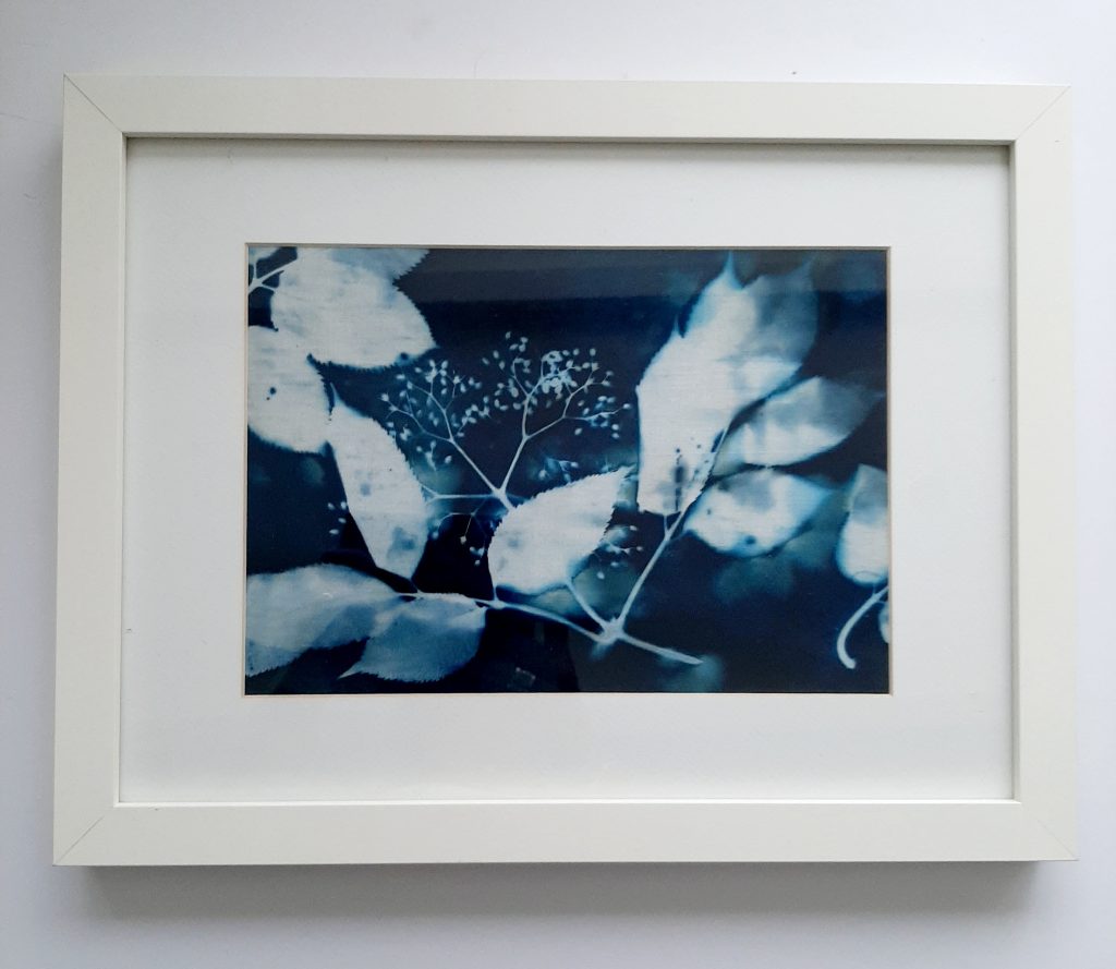 Blue Botanical Art 0021