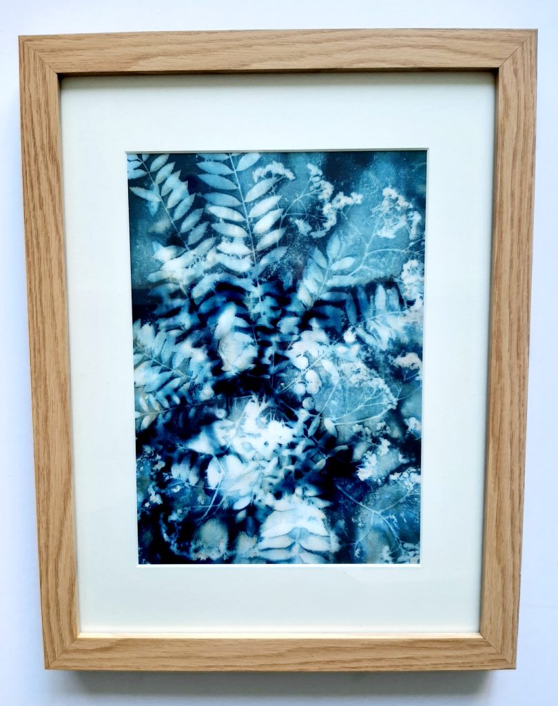 Cyanotype Foliage and Berries BLA 01