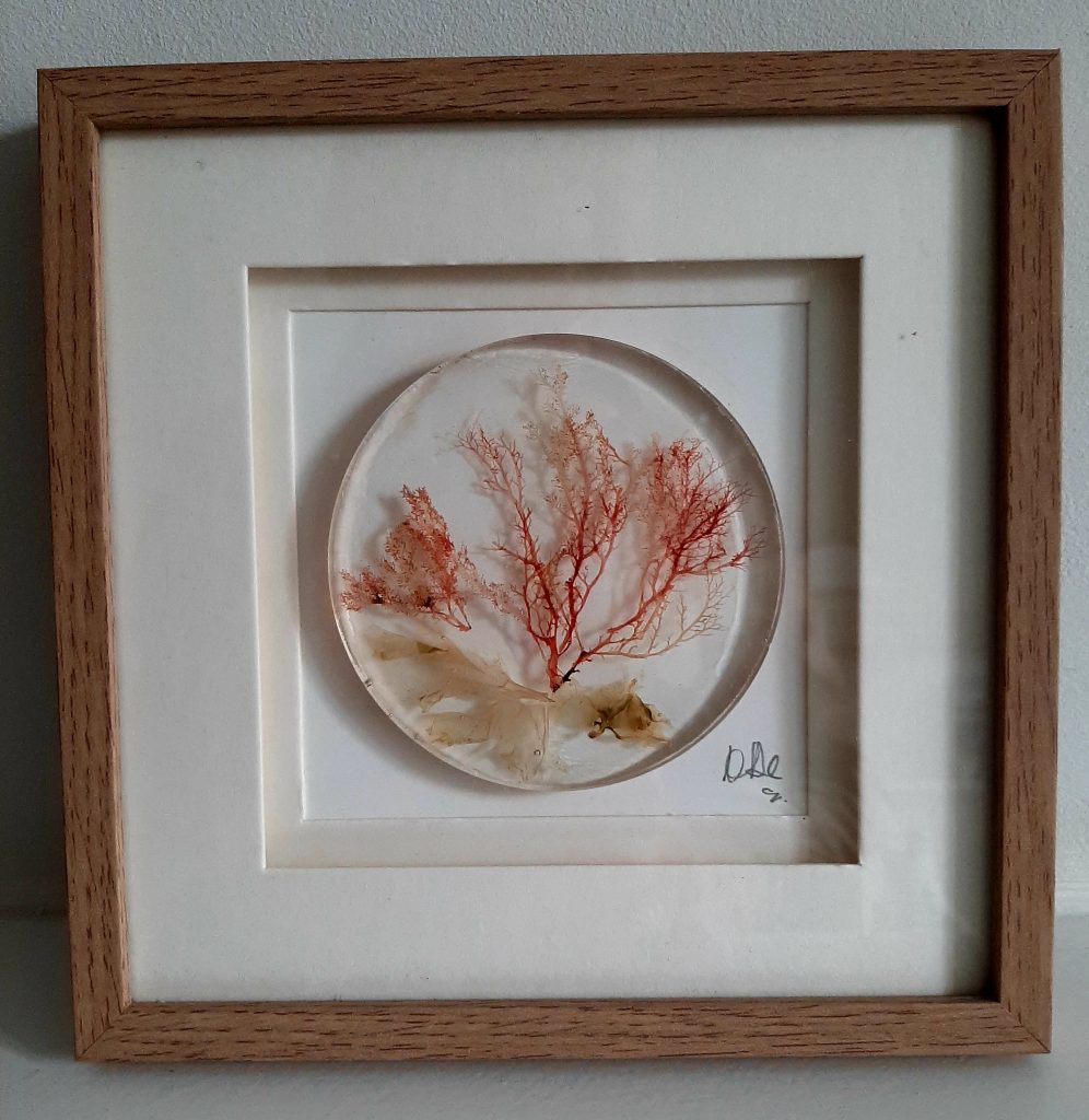 Seaweed Art Original SOLD