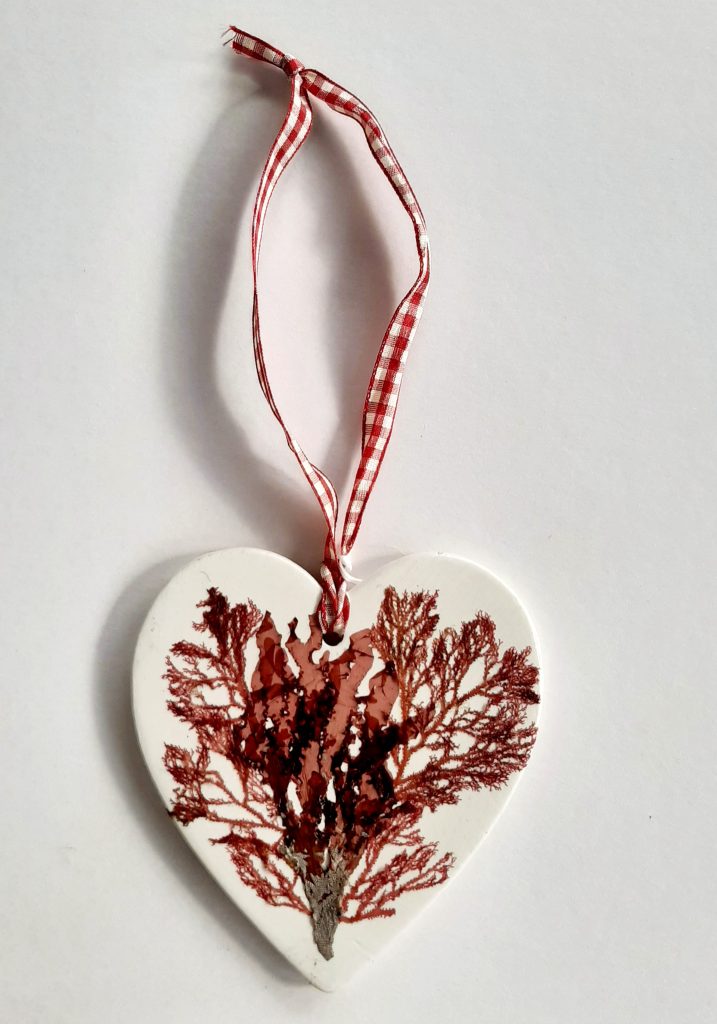 Seaweed Ceramic Gifts 001