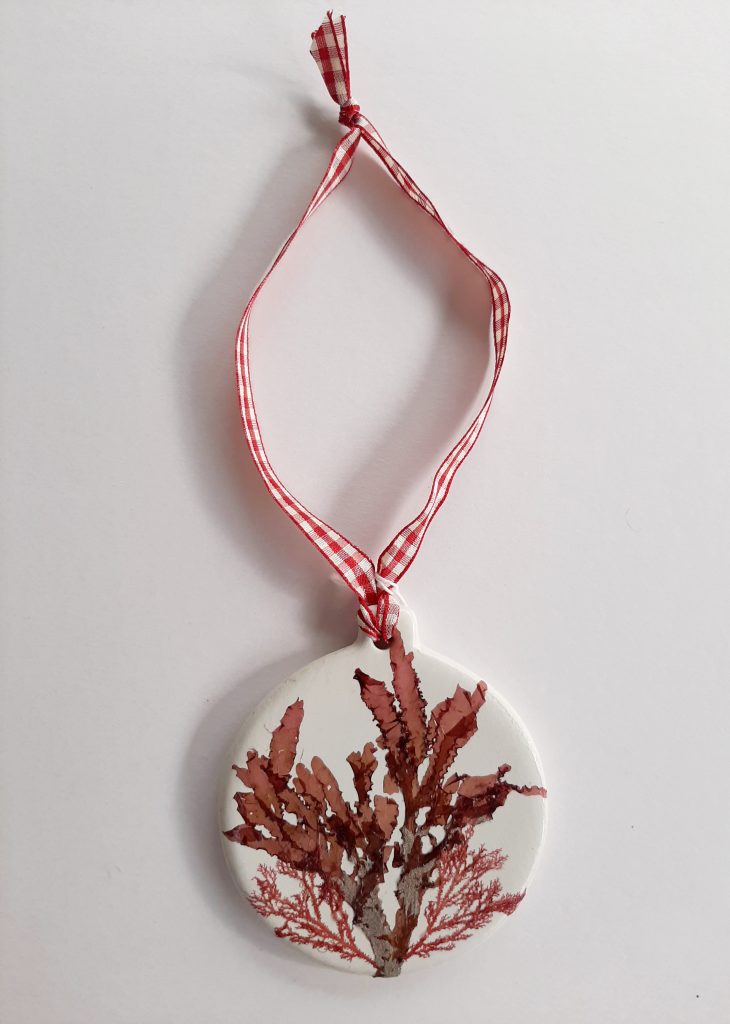 Seaweed Ceramic Gifts 003
