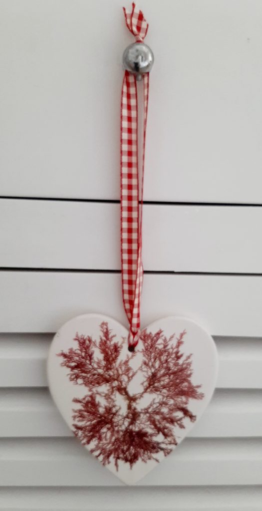 Seaweed Ceramic Gifts 002