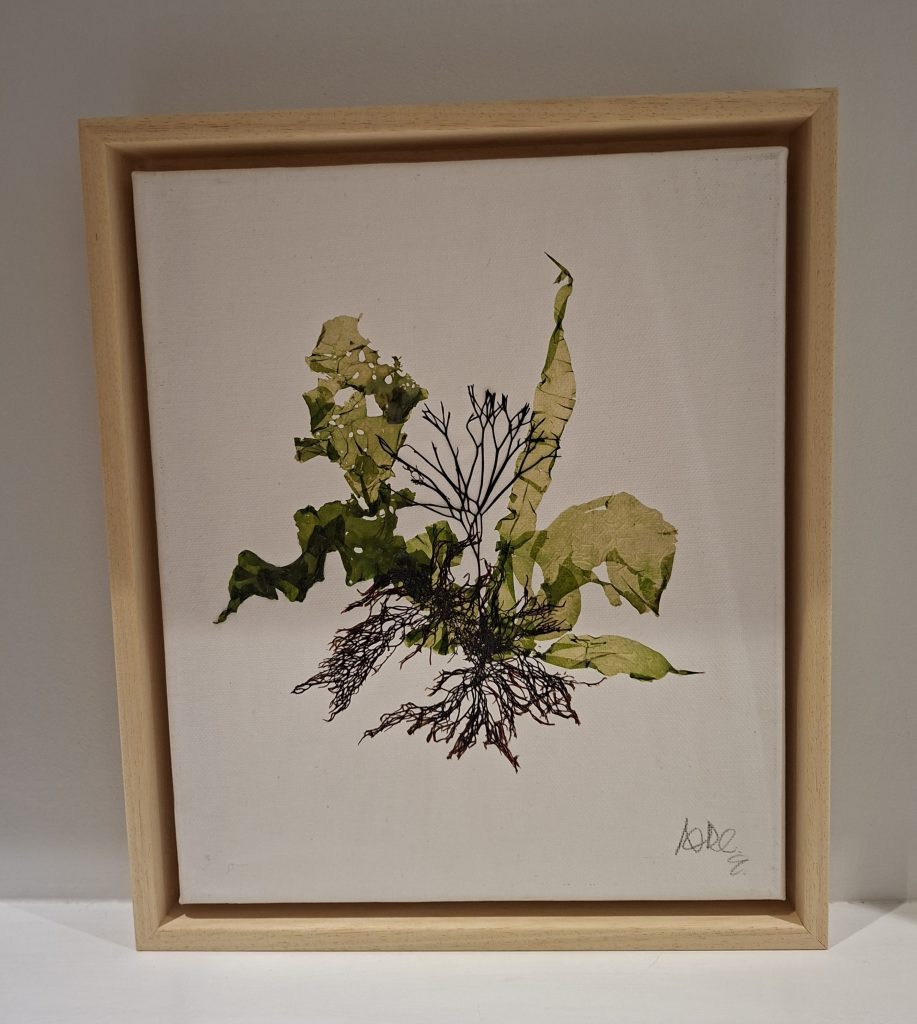 Seaweed Art on Canvas 0057